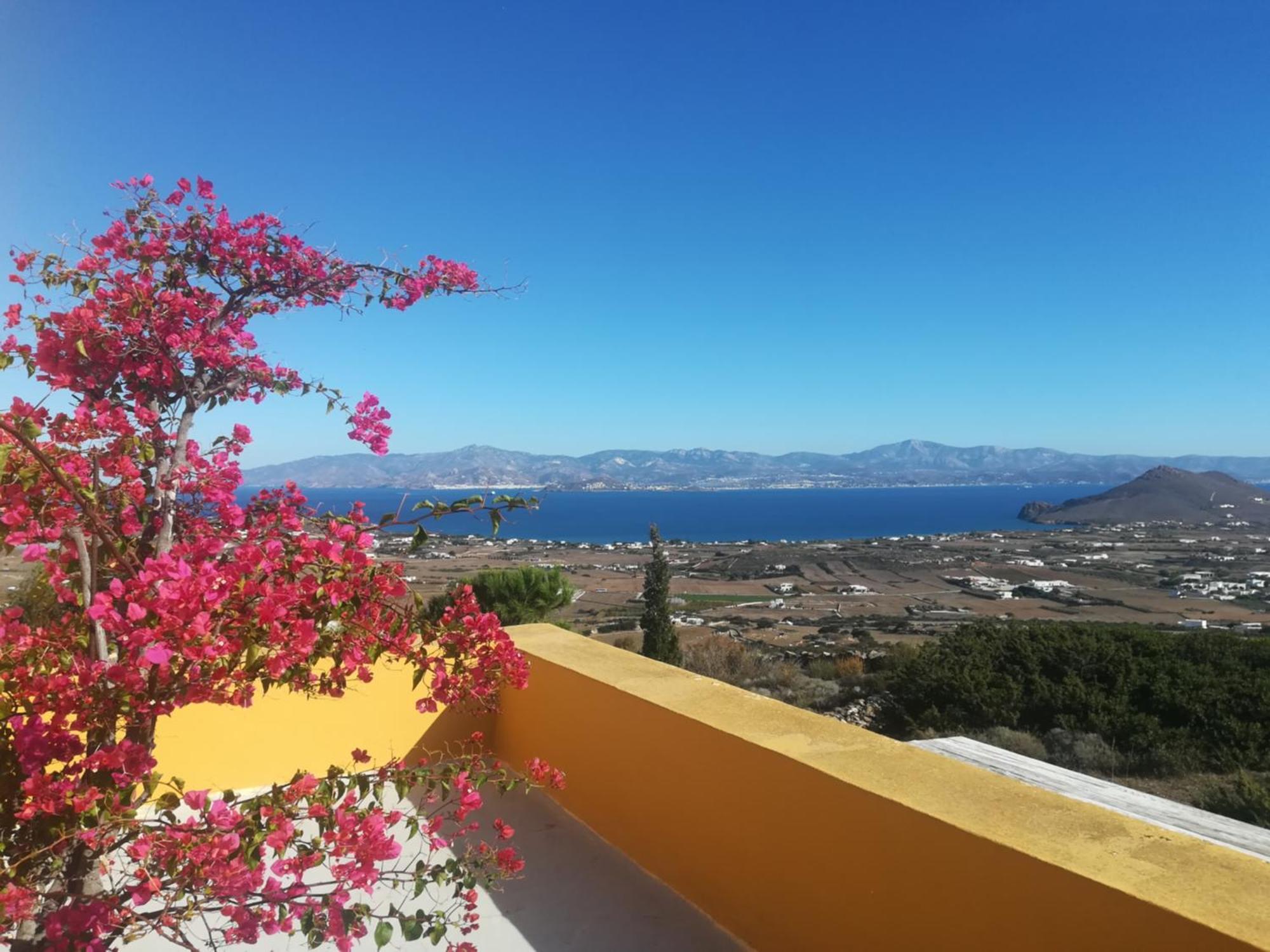 Bralos Villa - Paros, Sea View Kostos Bagian luar foto